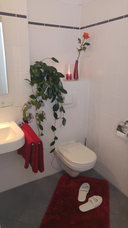 Apartmenthaus Elster Lofts ライプツィヒ 部屋 写真