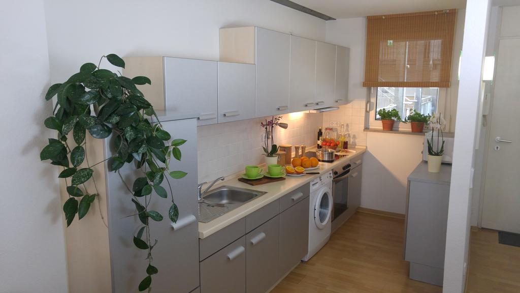 Apartmenthaus Elster Lofts ライプツィヒ 部屋 写真