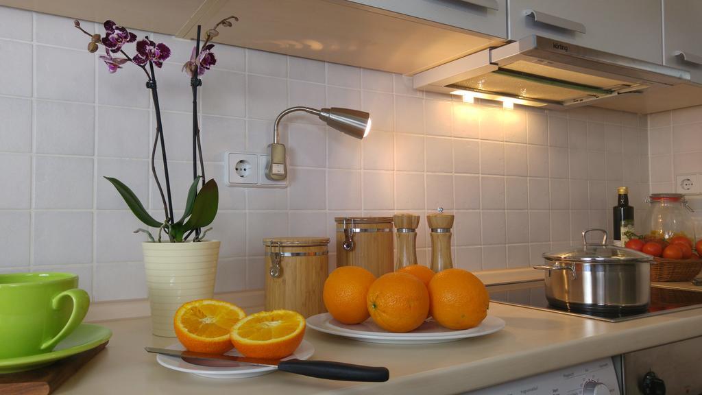 Apartmenthaus Elster Lofts ライプツィヒ 部屋 写真